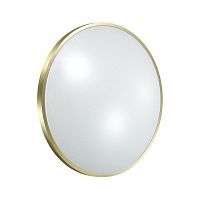 Настенно-потолочный светильник SONEX Lota bronze 2089/DL пластик бронзовый 