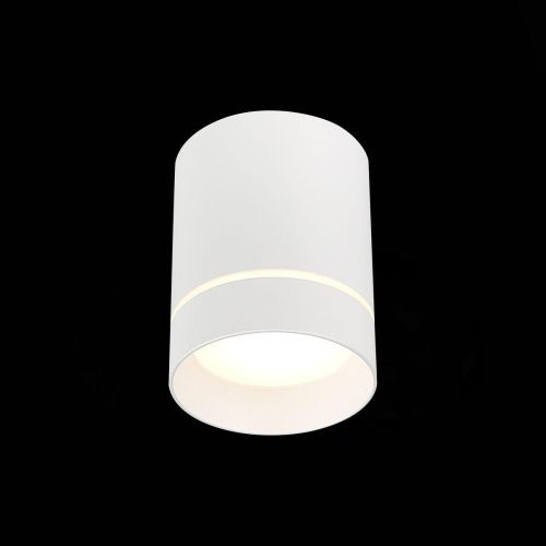 Потолочный светодиодный светильник ST Luce ST115.542.12  фото 3