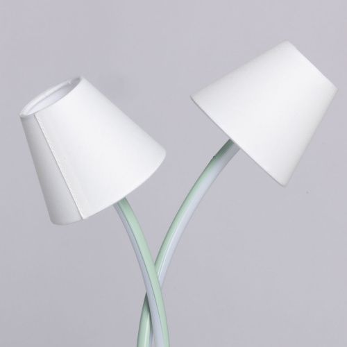 480033302 Аэлита 2*6W LED 220 V наст. лампа  фото 3