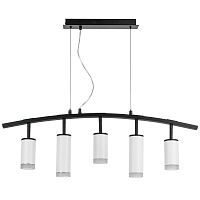 Подвесная люстра Lightstar Rullo (571735+214436-3+214486-2+202430-5) LR7353638620 