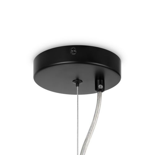 Подвесная люстра Maytoni Dallas MOD545PL-24B  фото 2