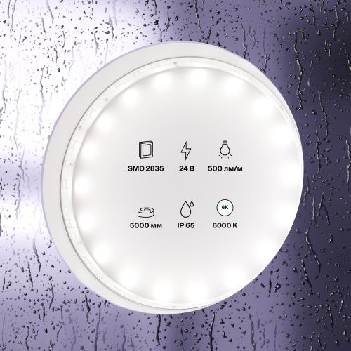Светодиодная влагозащищенная лента Maytoni Technical 4,8W/m 60LED/m 2835SMD холодный белый 5M 10141  фото 3