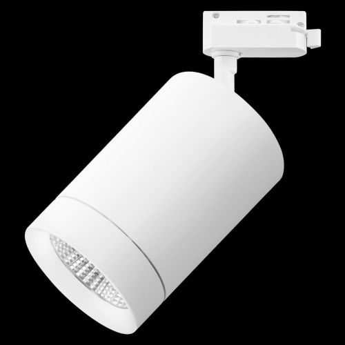 Трековый светодиодный светильник Lightstar Canno Led 303262  фото 2