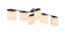 Потолочная люстра Freya Bice FR5101-CL-06-CN 