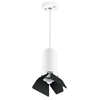 Подвесной светильник Lightstar Rullo (214486+590056+202437) RP486437 
