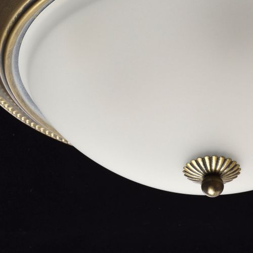Потолочный светильник MW-Light Ариадна 450015503  фото 8