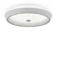 Потолочный светодиодный светильник Freya Cells FR10012CL-L24W 
