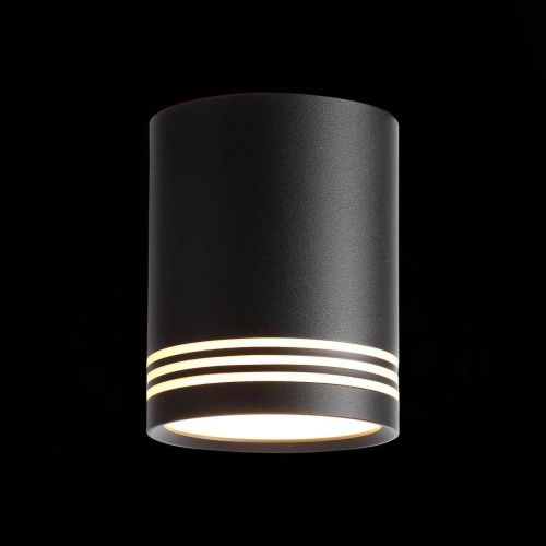 Потолочный светодиодный светильник ST Luce Cerione ST101.402.12  фото 2