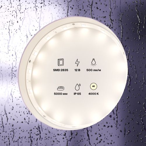 Светодиодная влагозащищенная лента Maytoni Technical 4,8W/m 60LED/m 2835SMD дневной белый 5M 10106  фото 3
