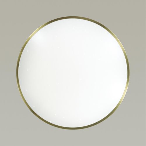 Настенно-потолочный светодиодный светильник Sonex Pale Lota bronze 2089/CL  фото 3