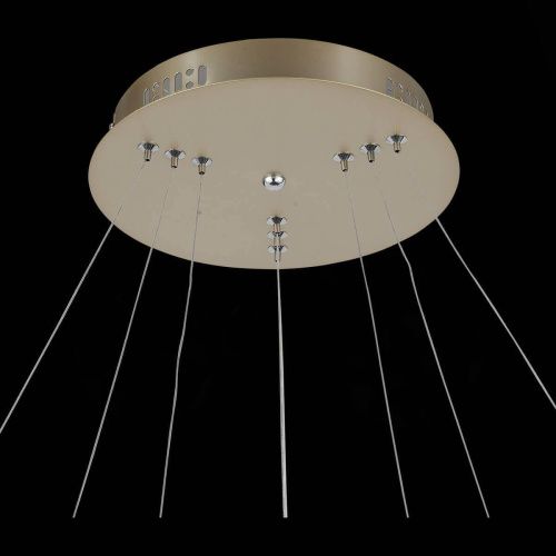 Подвесная светодиодная люстра ST Luce Erto SL904.203.03  фото 5