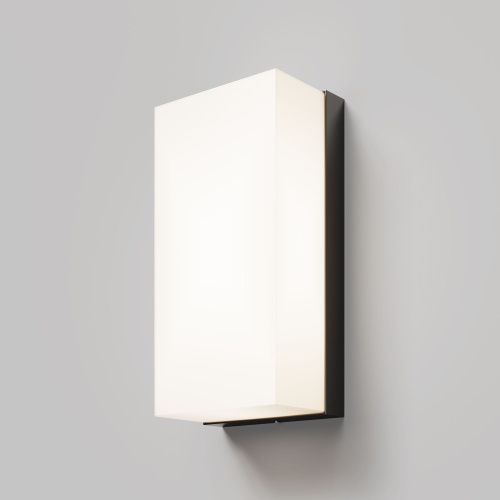 Настенный светильник (бра) Outdoor O454WL-L10GF3K  фото 3