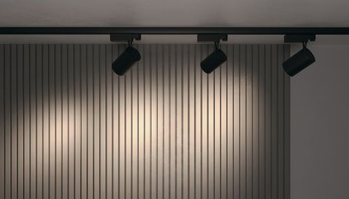 Трековый светильник Technical TR029-3-30W3K-B  фото 3