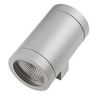 Уличный настенный светильник Lightstar Paro 351619 