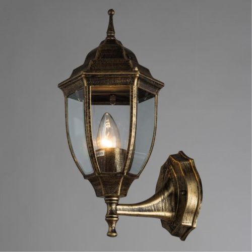 Уличный настенный светильник Arte Lamp Pegasus A3151AL-1BN  фото 2