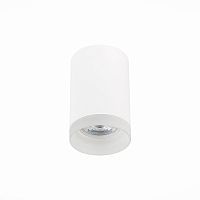 Потолочный светильник ST Luce ST100.502.01 