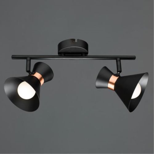 Спот Arte Lamp Baltimore A1406AP-2BK  фото 2