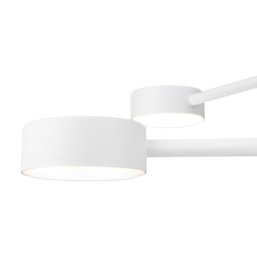 Потолочный светильник Freya FR5363CL-04W  фото 4