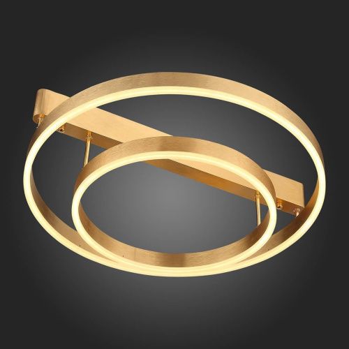 Потолочная светодиодная люстра ST Luce Onze SL944.202.02  фото 9