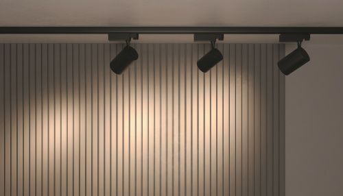 Трековый светильник Technical TR029-3-30W3K-B  фото 2