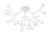 Потолочная люстра Freya Florencia FR5049CL-36W1 