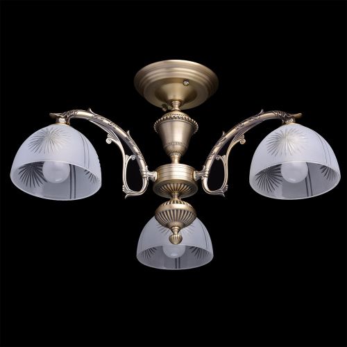 Потолочная люстра MW-Light Ариадна 450011503  фото 2