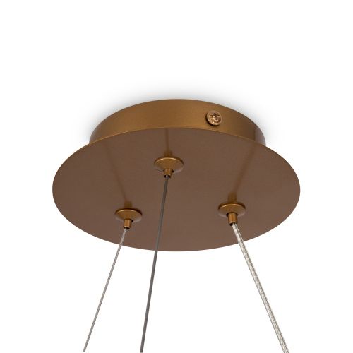 Подвесная люстра Maytoni Balance MOD317PL-04G  фото 6
