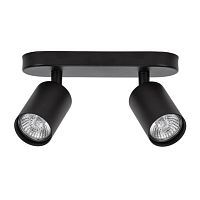 Спот Arte Lamp Aquarius A3226PL-2BK 