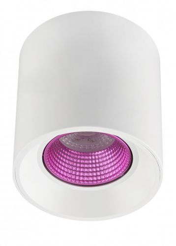 Потолочный светильник Denkirs DK3020WPI DK3090-WH+PI 