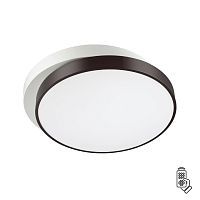 Люстра потолочная SONEX Agatha 4509/72CL акрил белый 