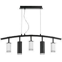 Подвесная люстра Lightstar Rullo (571735+214436-3+214487-2+202430-5) LR7353638720 