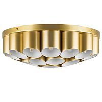 Потолочная люстра Lightstar Siena 720222 
