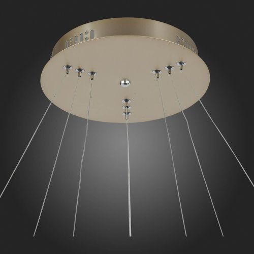 Подвесная светодиодная люстра ST Luce Erto SL904.203.03  фото 2