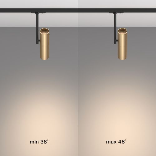 Трековый светильник Maytoni Track Lamps TR005-1-GU10-BG  фото 4