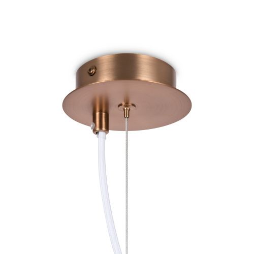 Подвесной светильник Maytoni Erich MOD221-PL-01-G  фото 9