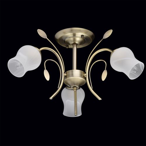 Потолочная люстра MW-Light Флора 256018103  фото 4