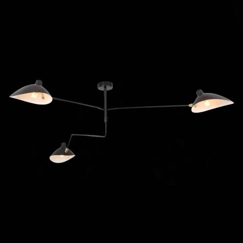 Потолочная люстра ST Luce Spruzzo SL305.402.03  фото 2