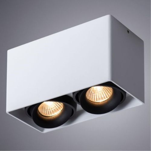 Потолочный светильник Arte Lamp Pictor A5654PL-2WH  фото 2