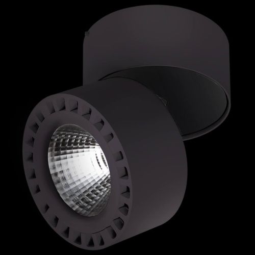 Потолочный светодиодный светильник Lightstar Forte 381373  фото 3