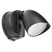 Уличный настенный светодиодный светильник Lightstar Diva 374147 
