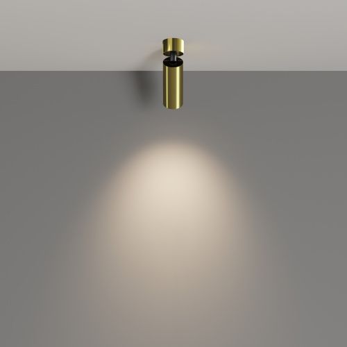 Потолочный светильник Technical C055CL-L12W4K-W-BS  фото 2