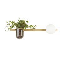 Настенный светильник SONEX Flower 4682/1WA стекло белое 