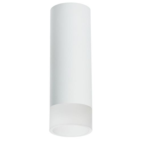 Потолочный светильник Lightstar Rullo (214486+202431) R48631 