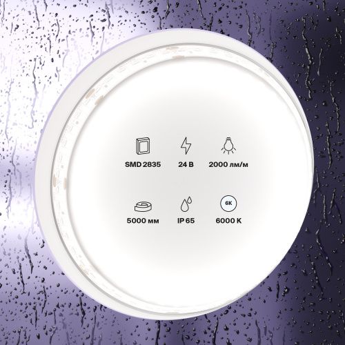 Светодиодная влагозащищенная лента Maytoni Technical 20W/m 180LED/m 2835SMD холодный белый 5M 10159  фото 3