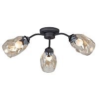 Потолочная люстра Vitaluce V4929-1/3PL 