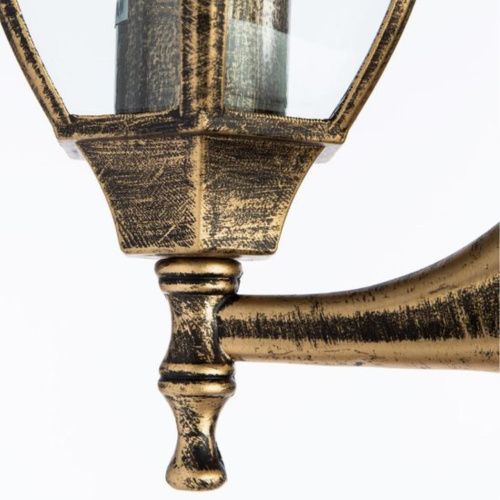 Уличный настенный светильник Arte Lamp Pegasus A3151AL-1BN  фото 4