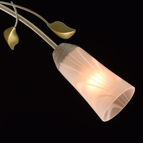 Потолочная люстра MW-Light Восторг 242015306  фото 7