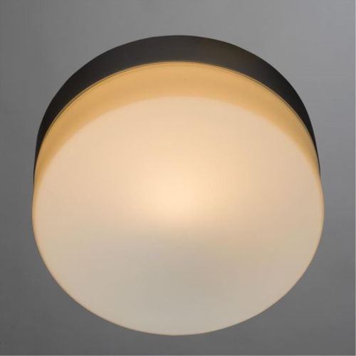 Потолочный светильник Arte Lamp Shirp A3211PL-1SI  фото 2