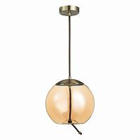 Подвесной светодиодный светильник ST Luce Ozzio SL6108.313.01 