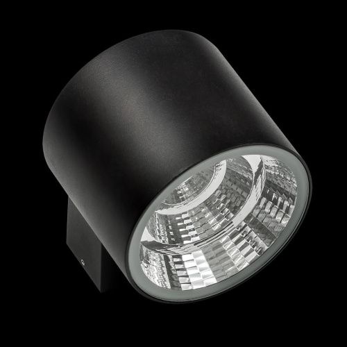 Уличный настенный светодиодный светильник Lightstar Paro 370574  фото 2